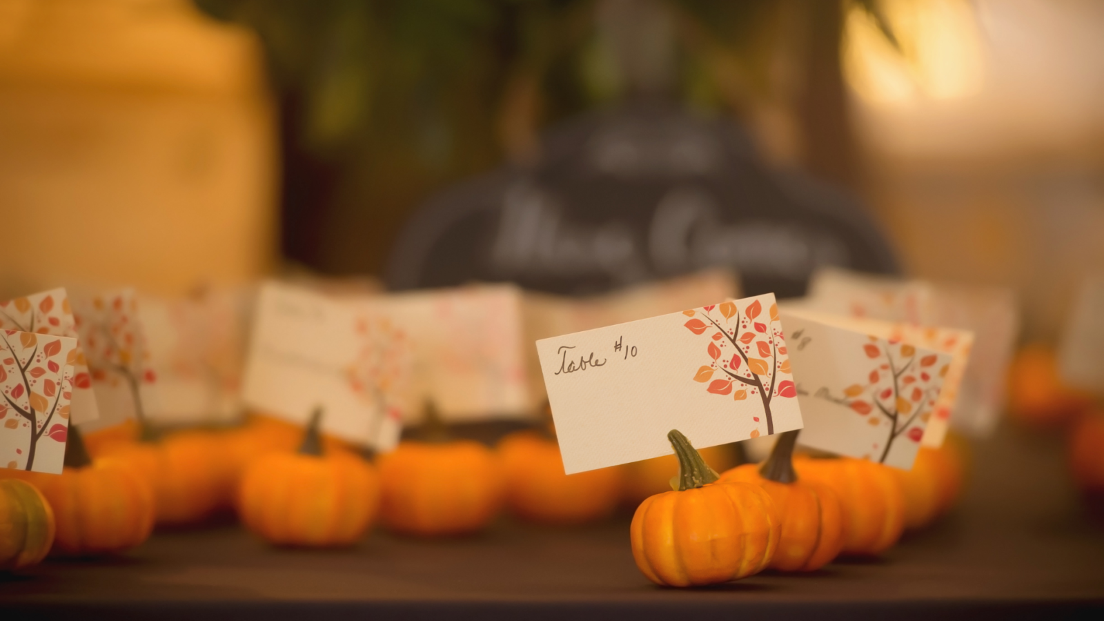 August and September Designs That Sell Fast