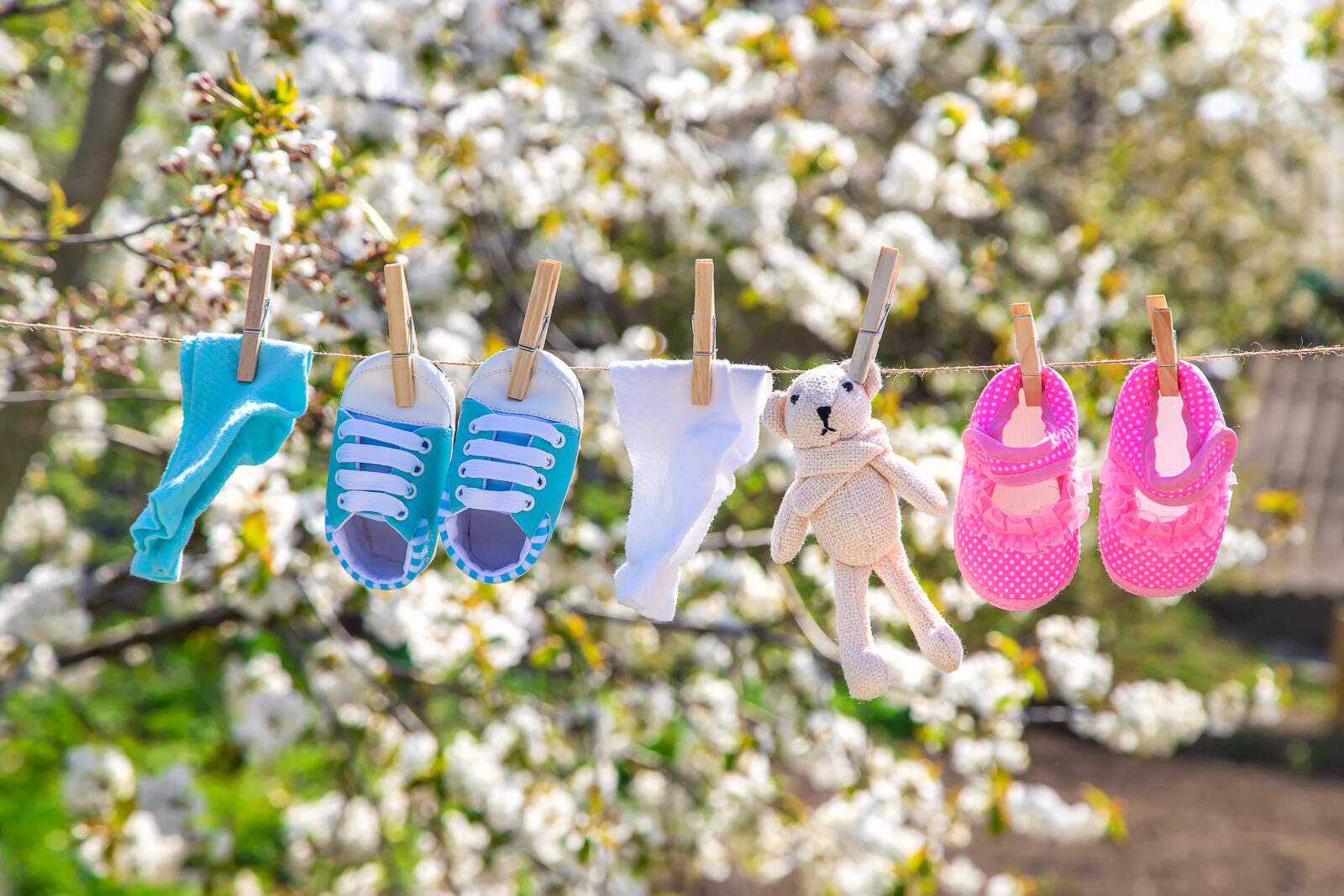 Festive Seasons in March: Life Event Templates to Add to Your Shop