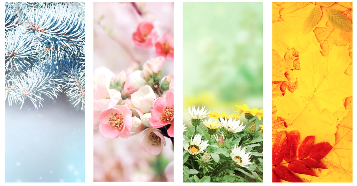 Seasonal Templates for Etsy
